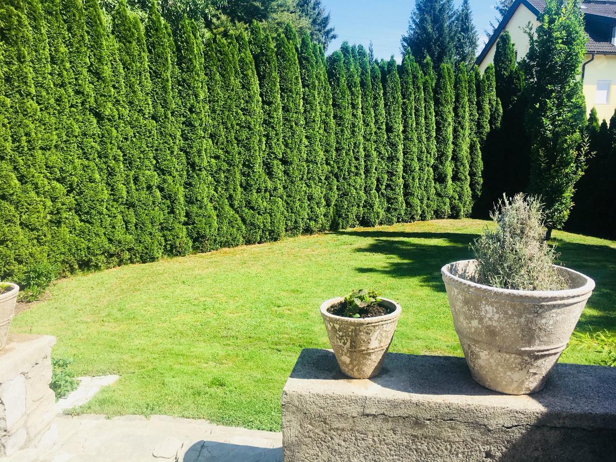 Townhouse Riva, Prime Location In The City Of Salzburg, 1000M2 Backyard别墅 外观 照片